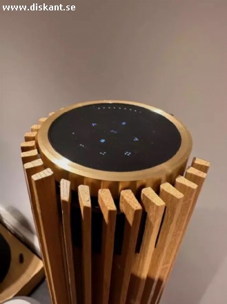 Bang & Olufsen BeoLab 28 Högtalare guldton och ek